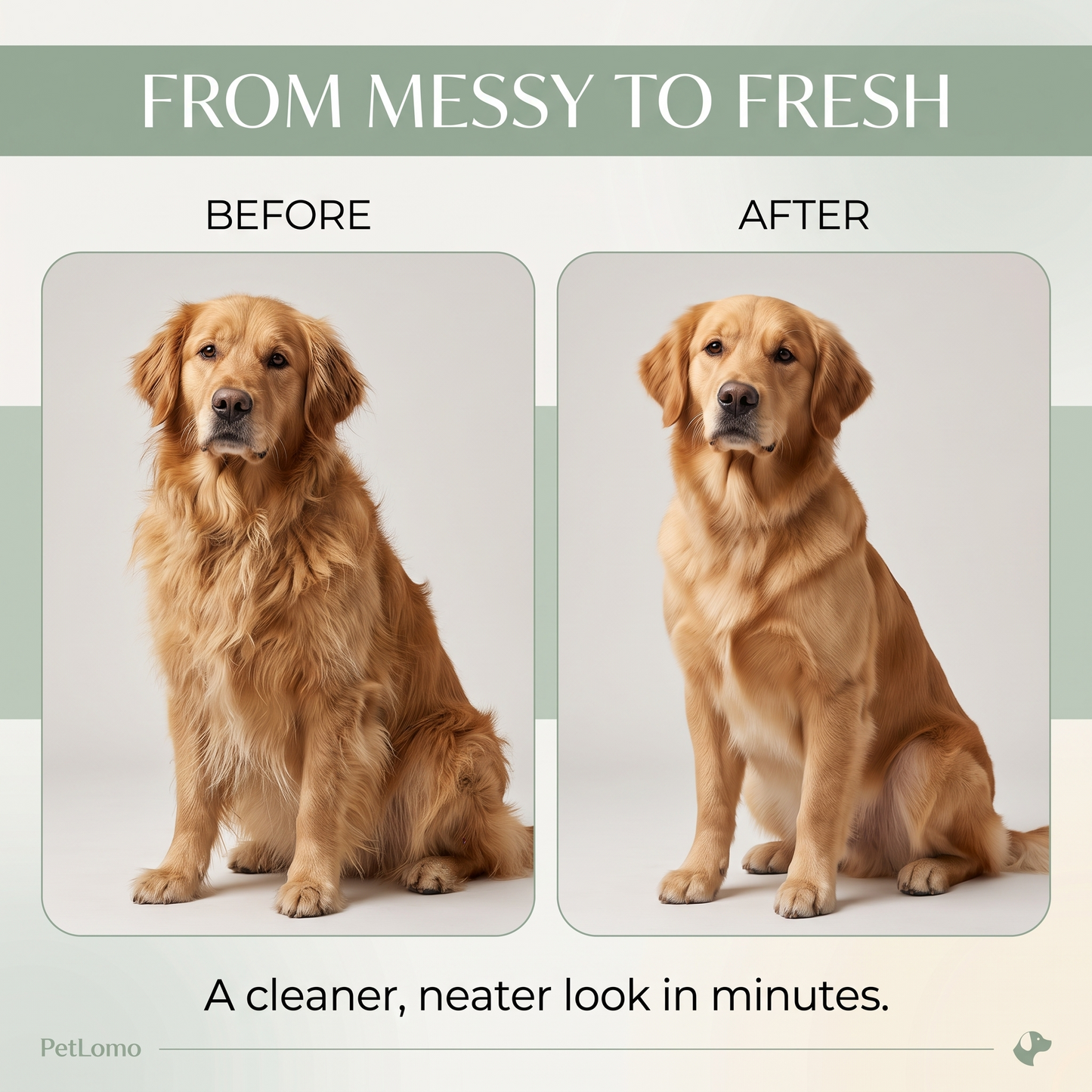 Pet Lomo Grooming Vacuum: The Ultimate Mess-Free Pet Grooming Vacuum