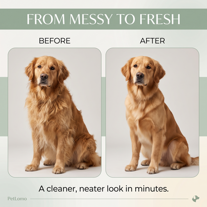 Pet Lomo Grooming Vacuum: The Ultimate Mess-Free Pet Grooming Vacuum